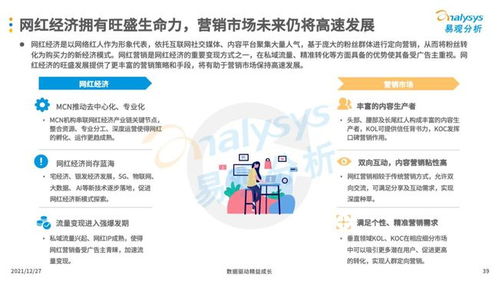 互聯(lián)網(wǎng)廣告營銷與信息系統(tǒng)集成服務 現(xiàn)代企業(yè)的必備技能